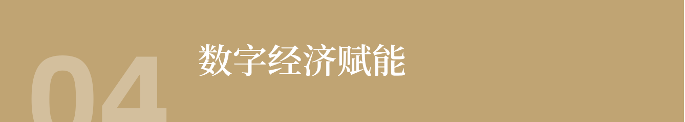 数字经济赋能